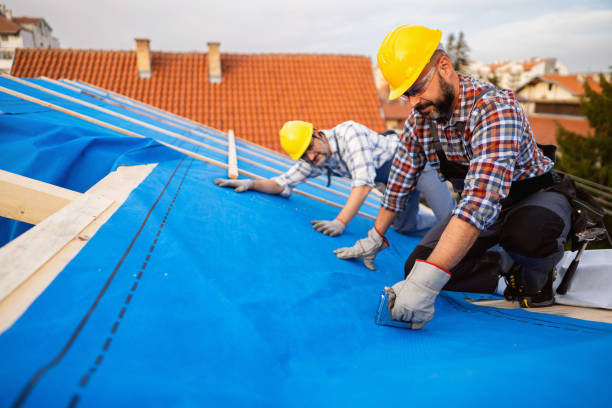 Best Roof Inspection Near Me  in Marshall, MI